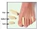 `Toe Separator Small Bx/12 Palliative relieve for toe friction and irritation * Made of soft poly fo