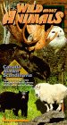 Wild About Animals: Canada Alaska and Scandinavia [VHS]