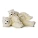 Aurora Plush 12