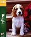   - Beagle 1000pc Puzzle