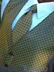 Jonas Vest and Long Tie Gold