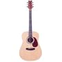 JB Player Dreadnought Acoustic Guitar