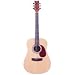 JB Player Dreadnought Acoustic Guitar