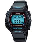 Casio DW290-1V Diver/Sports Watch