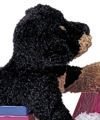 Plush Sparkie Rottweiler 9