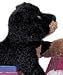   - Sparkie Rottweiler by Douglas