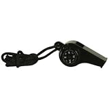 Black Compass/Thermometer Whistle