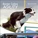 Border Collies Agility 2009 Wall Calendar