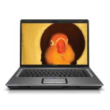 Click here to buy Compaq Presario F755US 15.4 Laptop AMD Turion 64 X 2 Dual Core TL-58 Processor 2 GB RAM 160 GB Hard Drive Vista Premium by Hewlett-Packard.