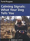 Calming Signals: What Your Dog Tells You