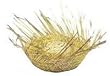 Better Birds Nest Hat