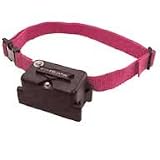 PetSafe Super Receiver