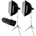 Adorama Budget Studio Monolight Softbox Kit #23, with 2 100 watt Second Budget Flashes, Light Stands, Two 18 x 18 Softboxes & Softex Carrying Case.