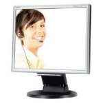 217973: NEC Displays MultiSync LCD175M 17 inch TFT LCD Monitor 1000:1 250 cd/m? 1280 x 1024 5ms D-SUB/DVI-D (Black/Silver) (60002795)