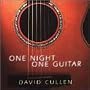 One Night,One Guitar