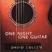 One Night,One Guitar