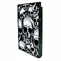 PlayStation 2 Skulls Inside Skin