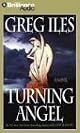Turning Angel: A Novel