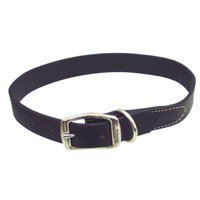Circle T Leather Collar- 1" width