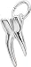 Jewelry : Tooth Charm by Rembrandt Charms