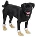 SMALL - Casual Canine Cozy Dog Boots - BROWN