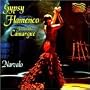 Gypsy Flamenco Music From the Camargue