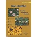 Die Quitte: Eine fast vergessene Obstart