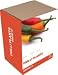 Kitchen & Housewares : Grow It: Chilli Plant