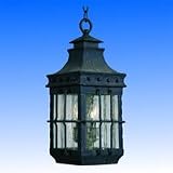 Maxim Lighting International Caged Outdoor Pendant