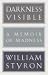 Darkness Visible: A Memoir of Madness (Modern Library)
