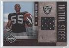 2010 Limited Initial Steps Jerseys #28 - Rolando McClain/99