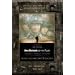 Der Soldat James Ryan - D-Day 60th Anniversary Edition (2 DVDs)