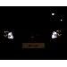 Multichip 8 SMD LED Standlichter, Glassockel, w5w T10, CanBus kompatibel, Farbe:Wei�