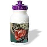 VWPICS MACRO INSECTS - A close up of a house fly showing a severe mite infestion - Water Bottles