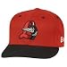 Great Lakes Loons Minor League Baseball New Era 5950 Home Cap