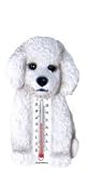 Outdoor Living : Bichon Frise Thermometer