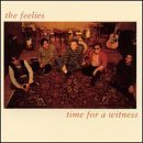 Time for a Witness by Feelies
