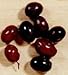 Large Gaeta Olives