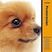 THE DOG ポメラニアン 2005年度 カレンダー