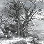 Celtic Winter