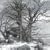 Celtic Winter