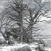 The Celtic Winter