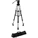 Libec RS-250 2-Stage Aluminum Tripod System with Mid-Level Spreader, RH25 Head/RT30B Tripod/BR-2B Ground Spreader/FP-2B Rubber Feet/RC-30 Case
