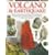 Volcano & Earthquake (Eyewitness Books, No 38)