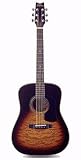 Musical Instruments : Washburn D10Q Dreadnought Acoustic Guitar (Sunburst)