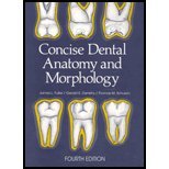 Concise Dental Anatomy & Morphology (4th, 01) by Fuller, Jim [Paperback (2001)]