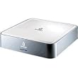 IOMEGA MiniMax Desktop Hard Drive Festplatte 300.0 GB FireWire/USB2.0