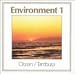 Environment, Vol. 1: Ocean/Tambura & Environment, Vol. 2: River/Bells