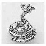 Snake Cobra Charm