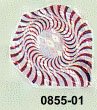 Zodiac (Red Spiral)